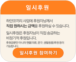 일시후원