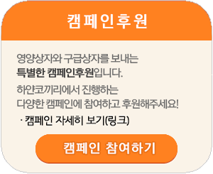 캠페인후원